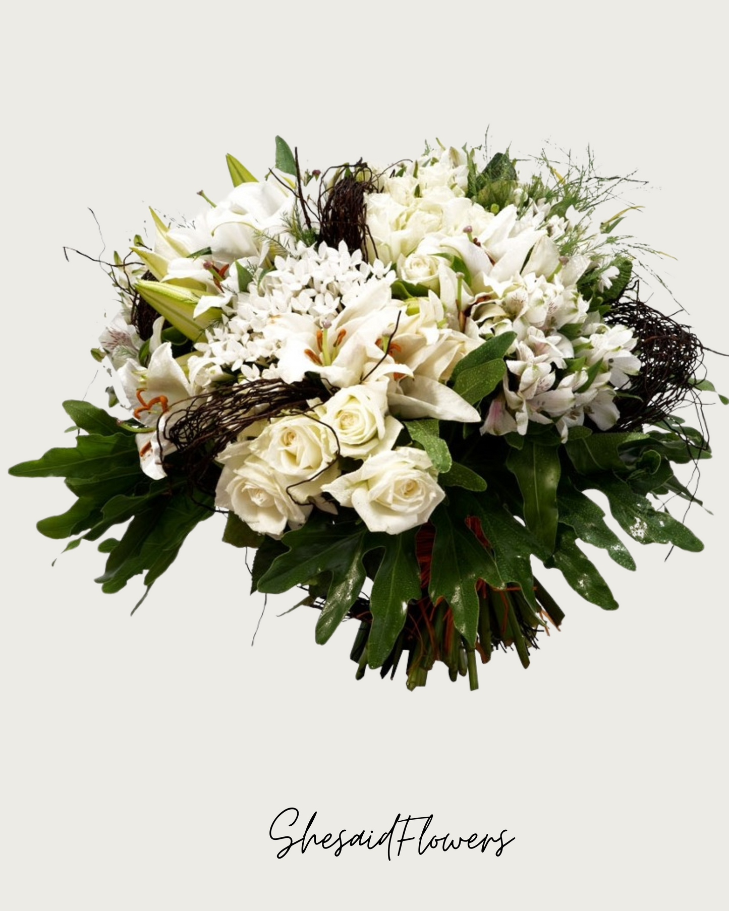 Blanc pure