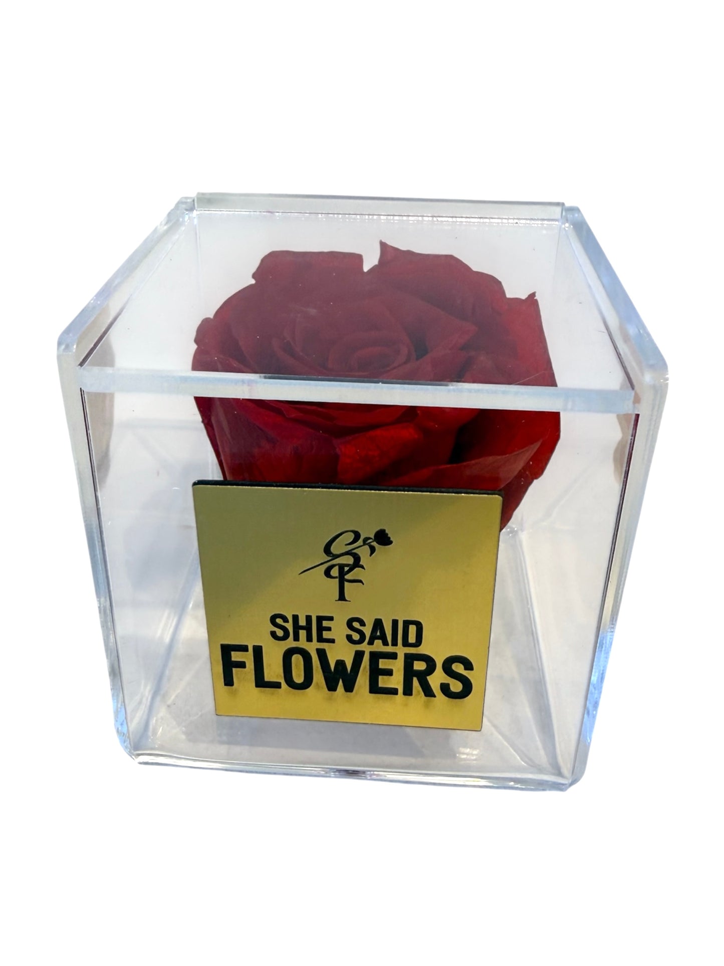 Rose éternelle Single