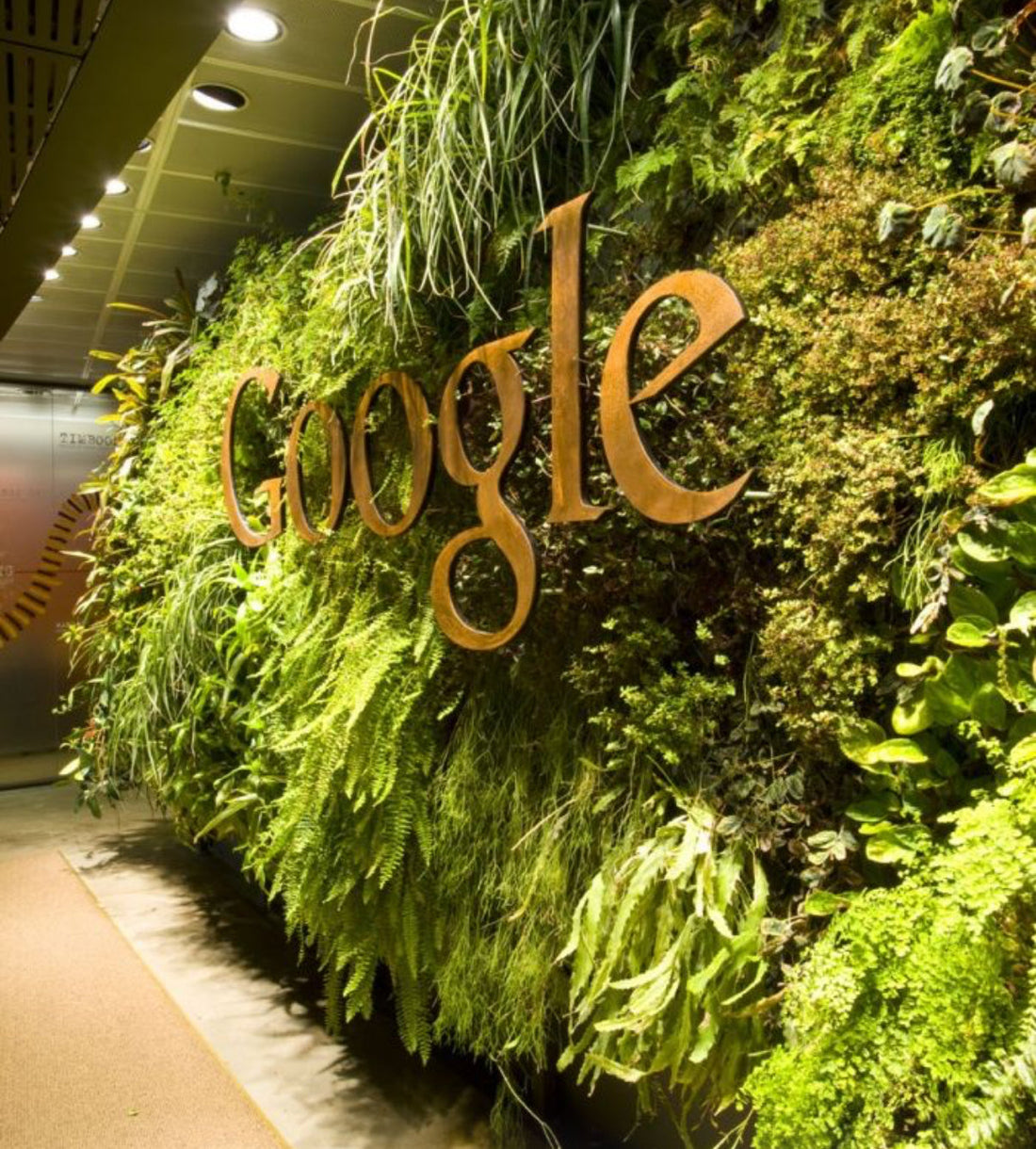 Des Murs Végétaux Stabilisées : La Nature S’invite Chez Vous