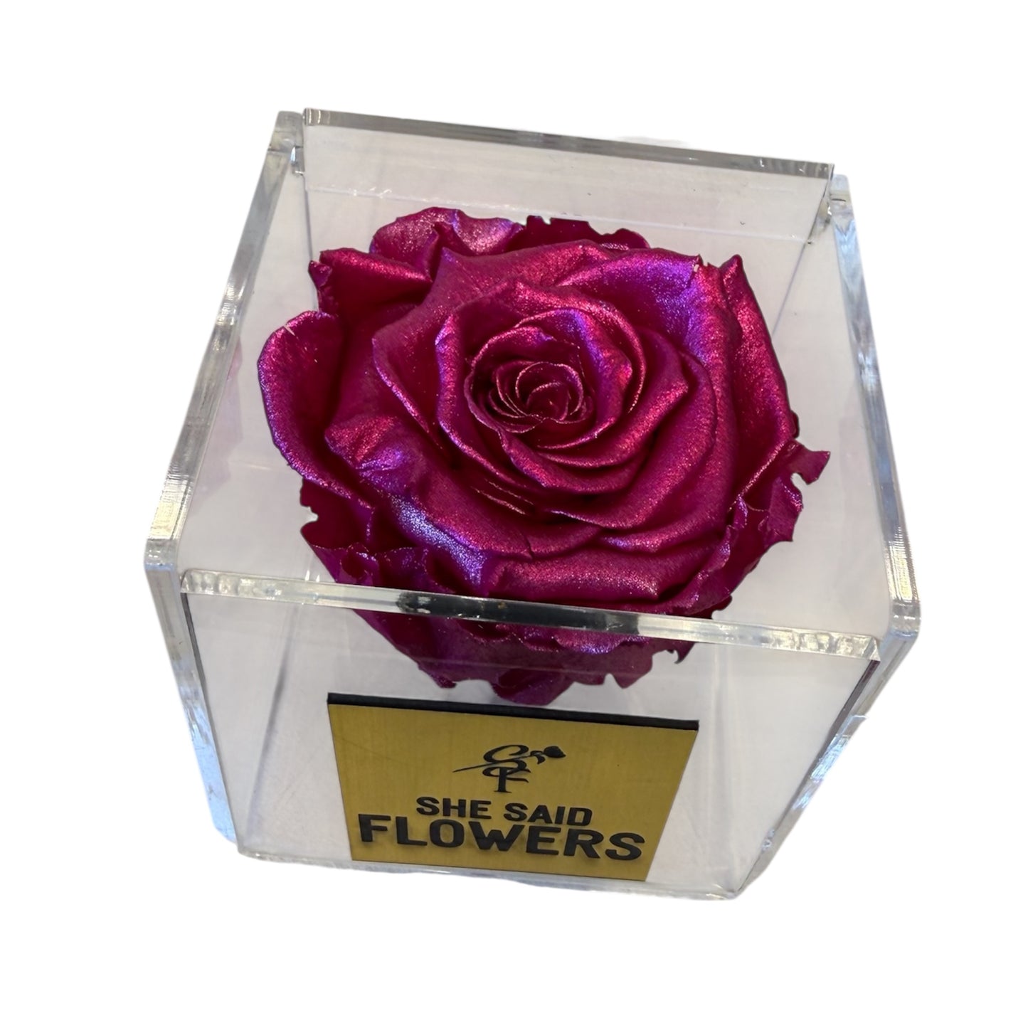 Rose éternelle Fushia satinée Édition limitée