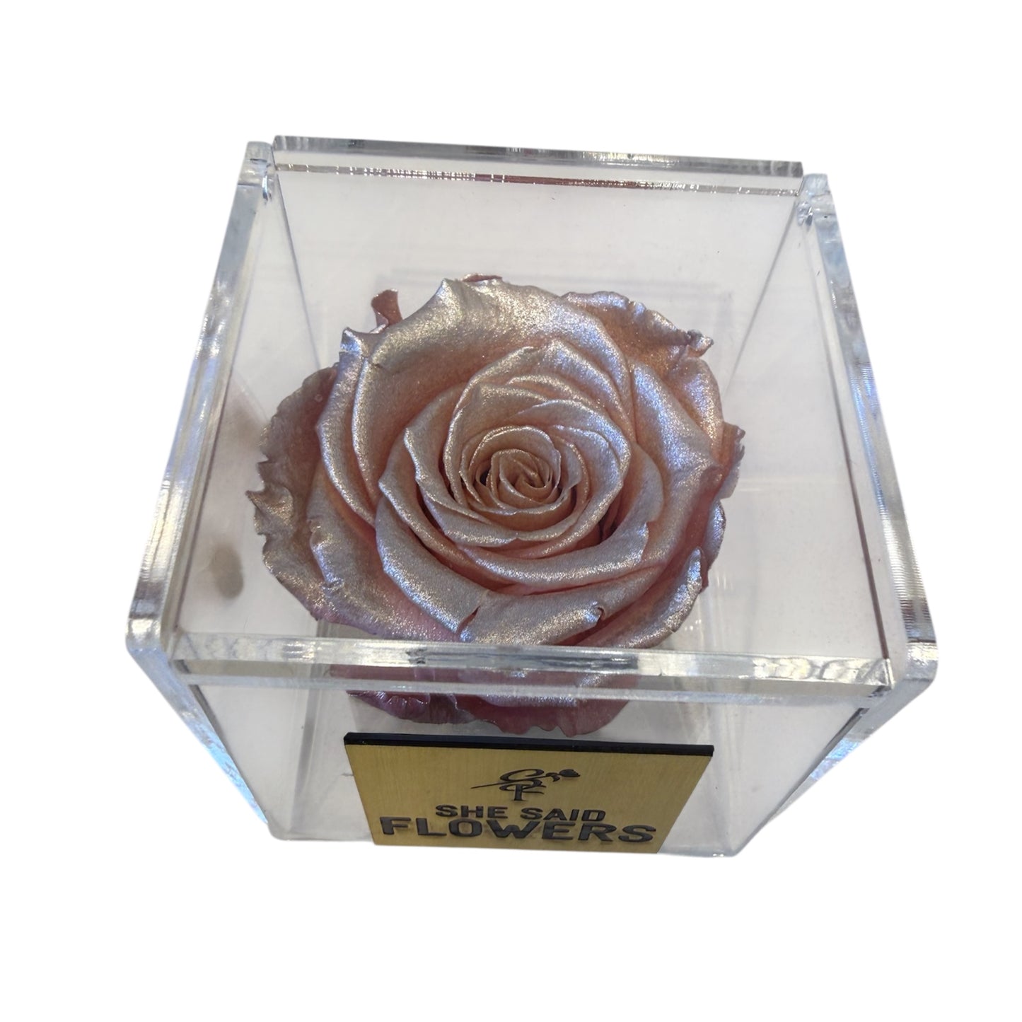 Rose éternelle Crème Satinée édition limitée