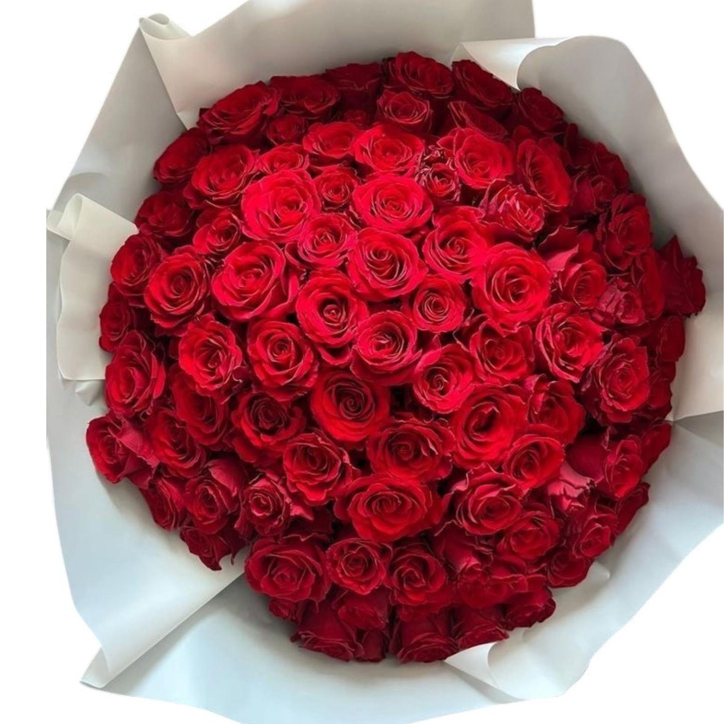Bouquet de 100 roses rouges