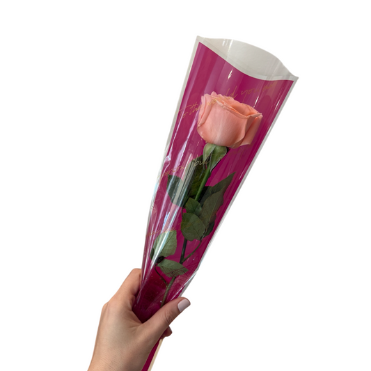 Rose individuelle de couleur saumon