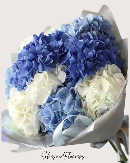 Bouquet de Geranium séché blanc et bleu